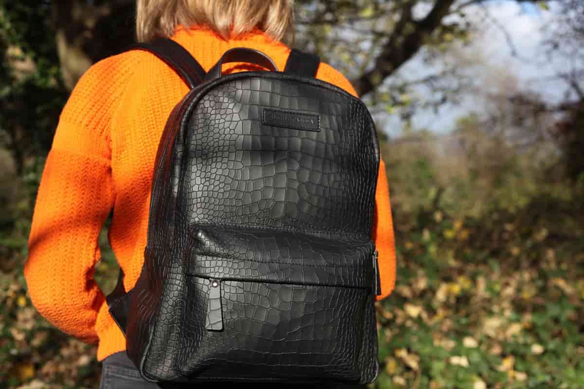 everythings about alpha leather backpack
