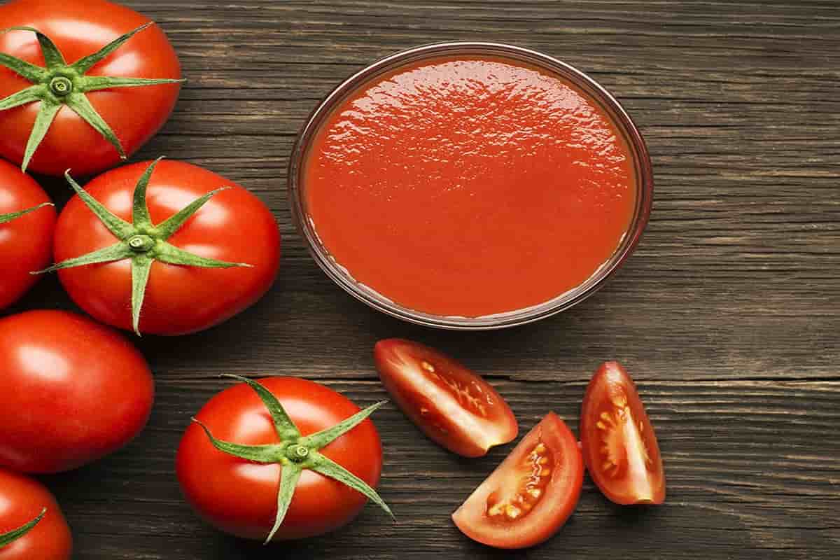 Buying fermented tomato paste and its price - Barbara