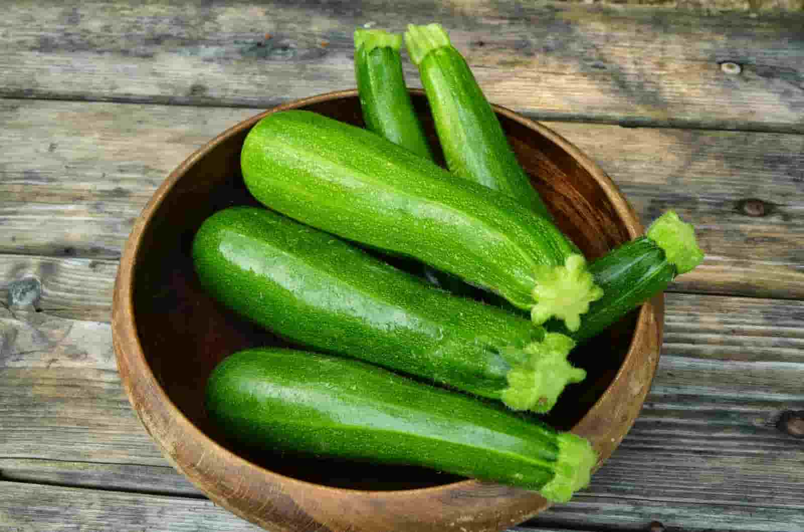 Different kinds of zucchini