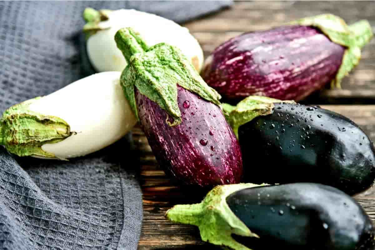 eggplant vs zucchini nutrition points