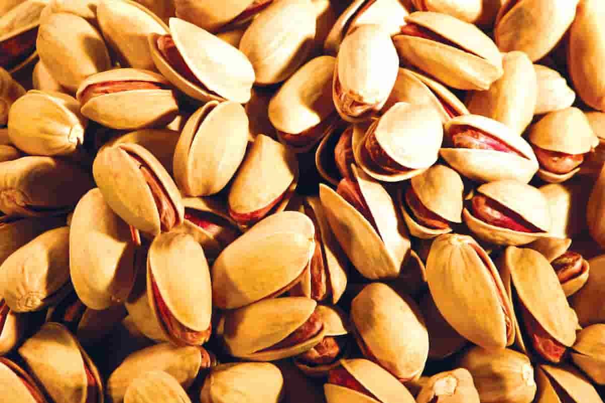 Pistachio facts you must know