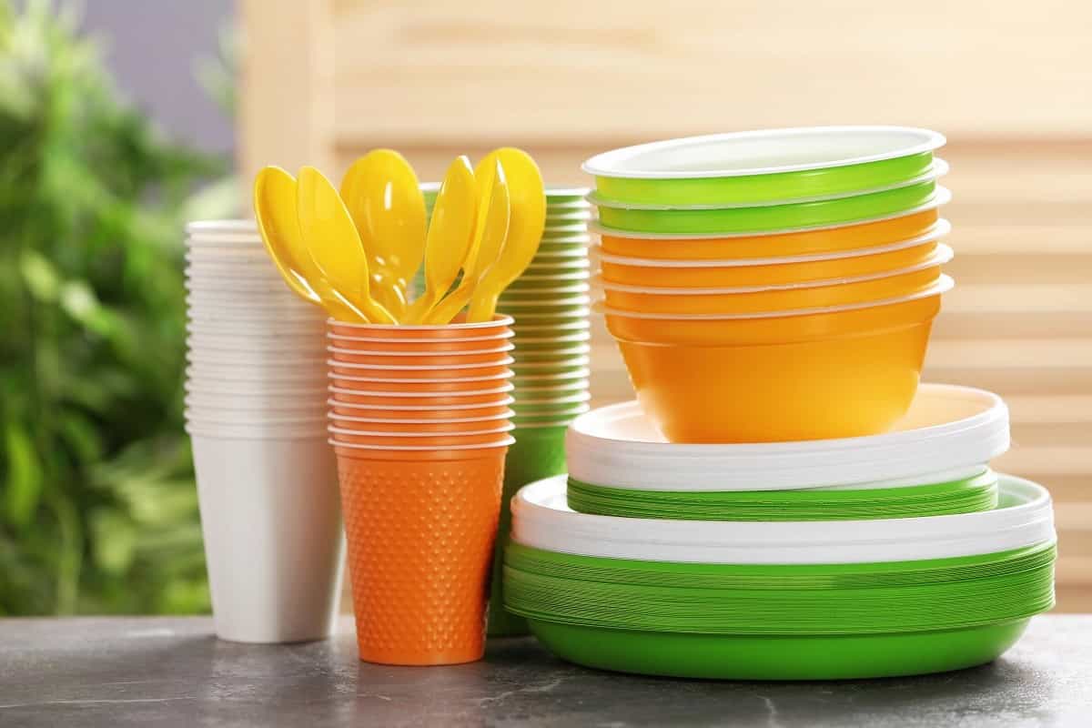 disposable plastic food container