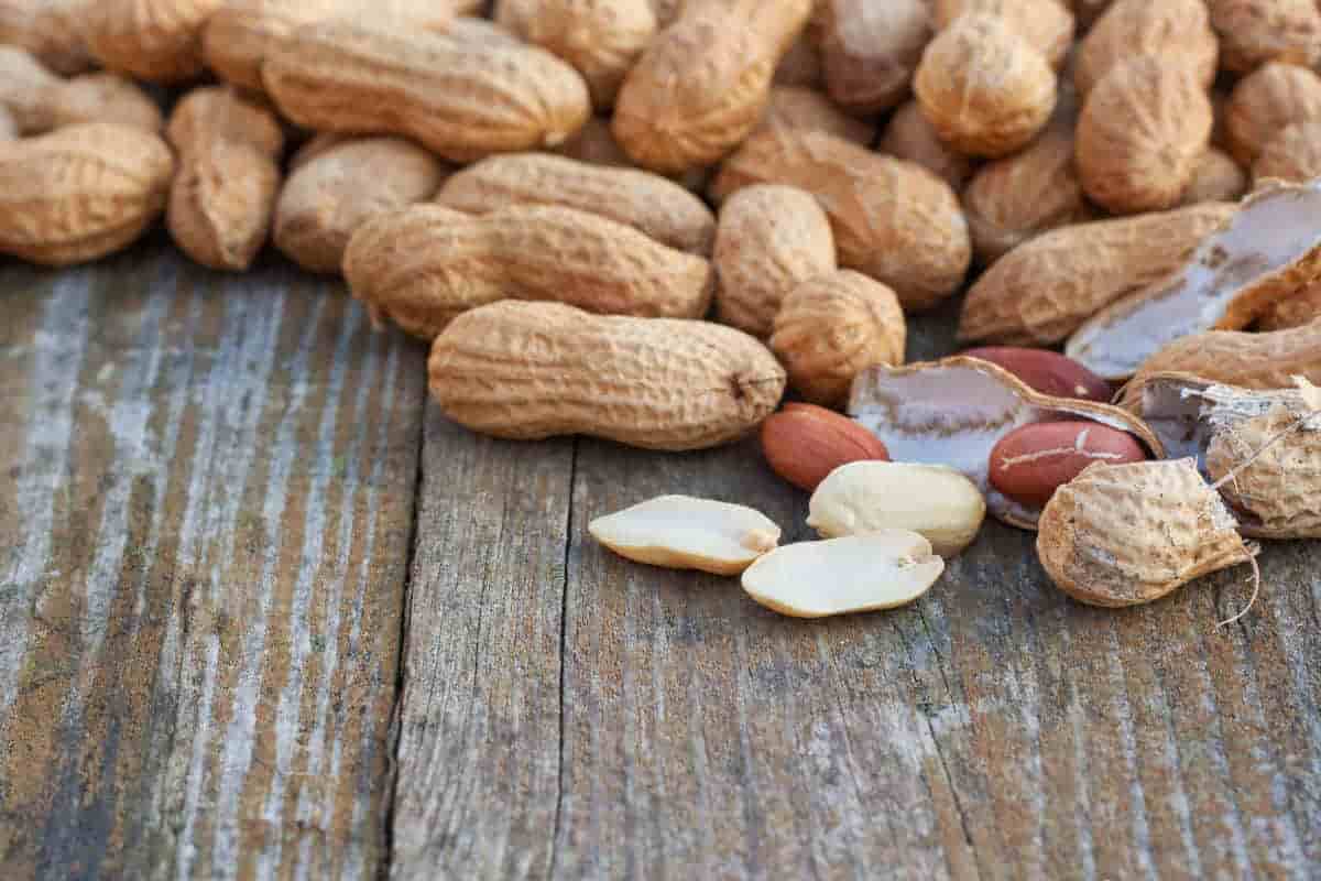 red skin peanuts calories