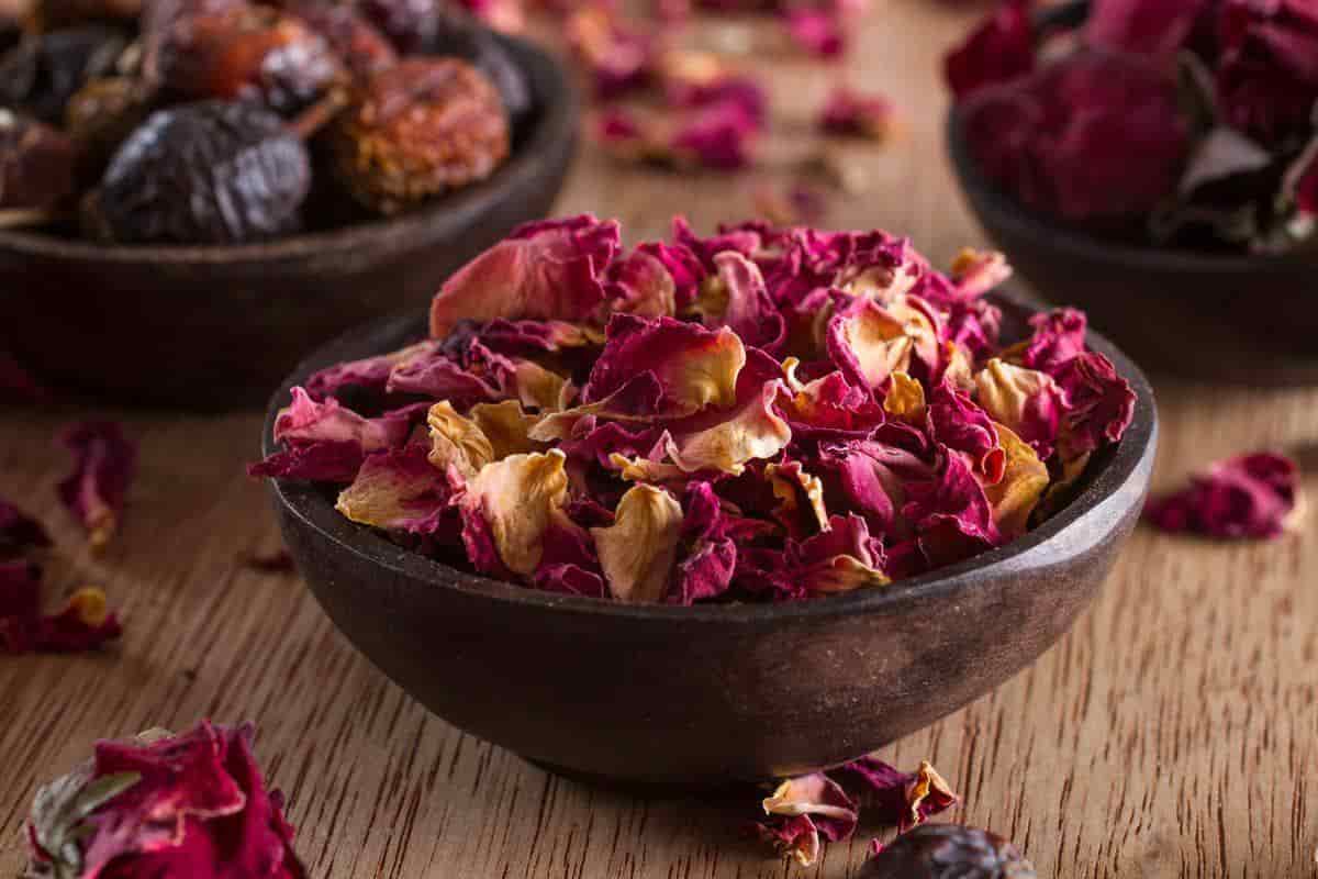 dry rose petals uses for skin