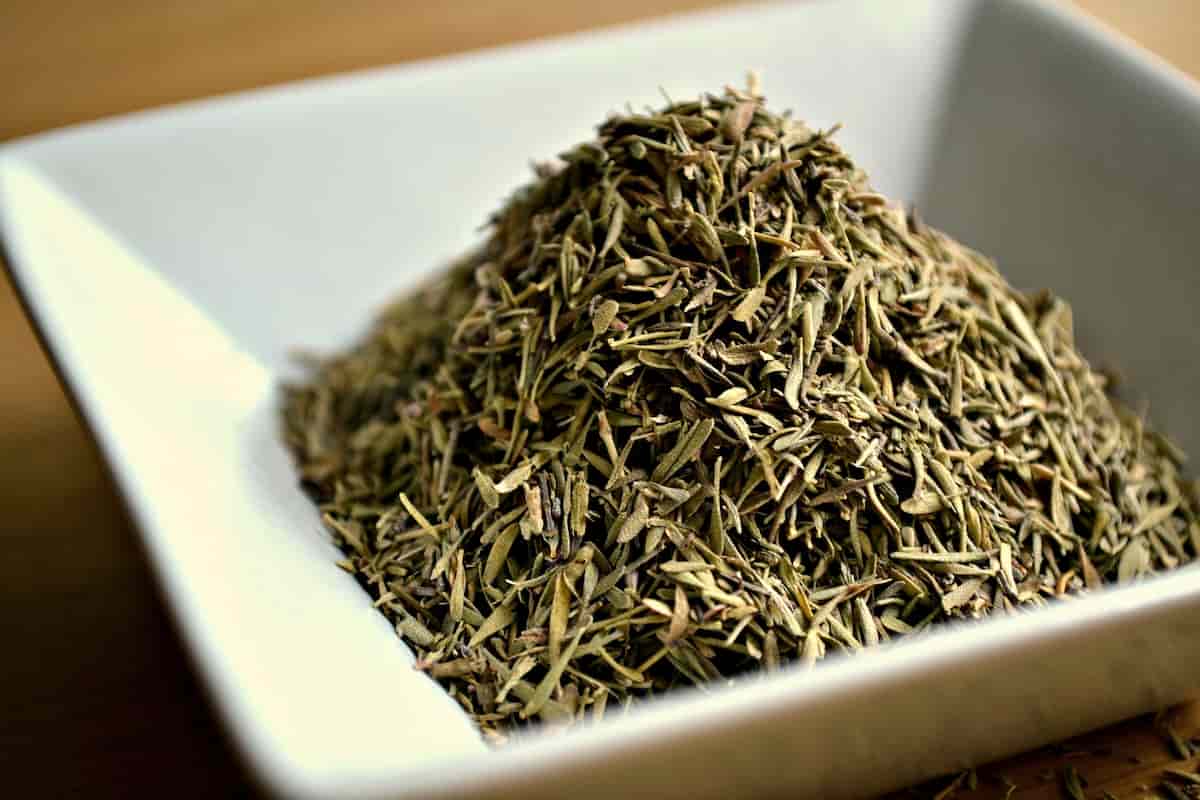 Dry thyme spice
