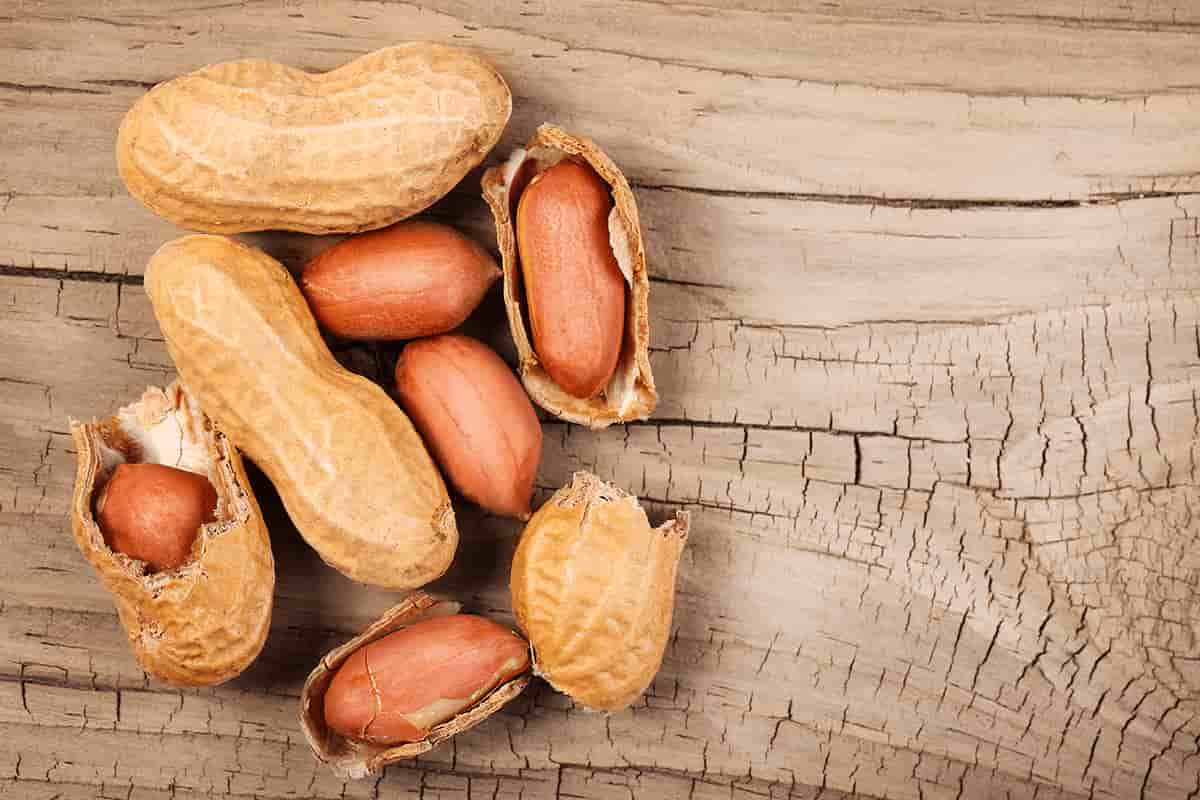 Peanut skins nutrition