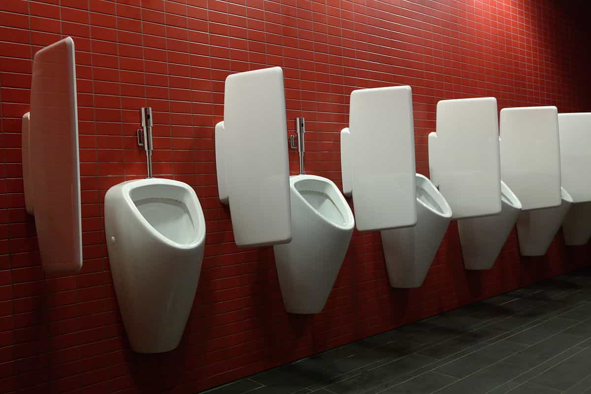 Wall hung toilet bowl features