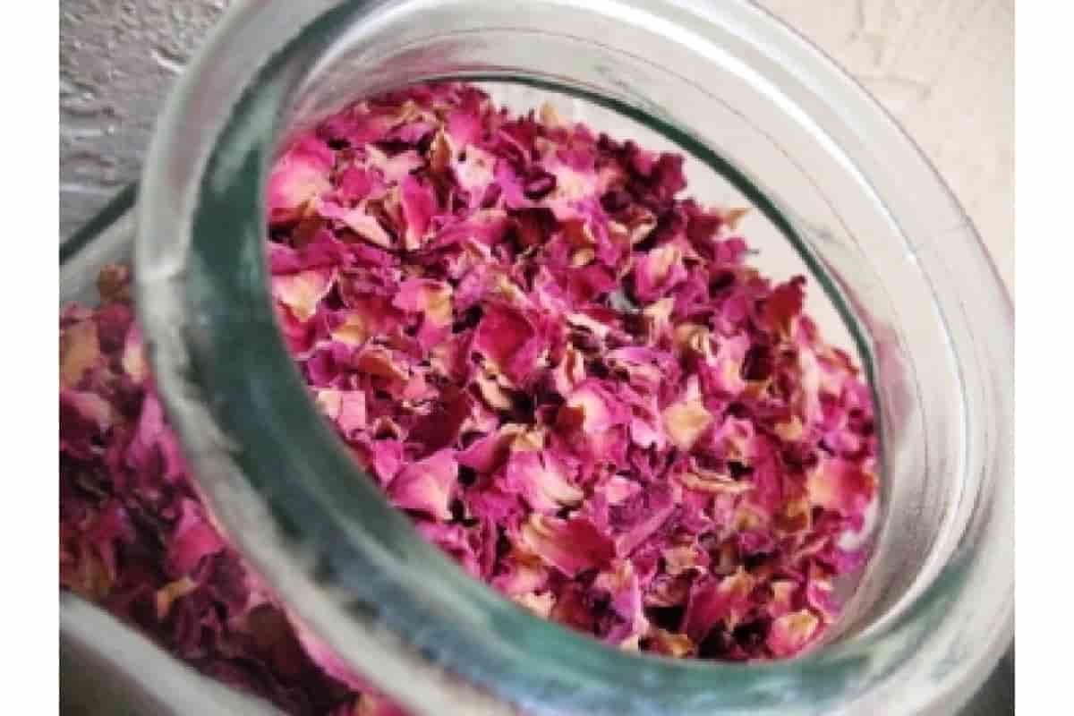 dry rose petals for tea