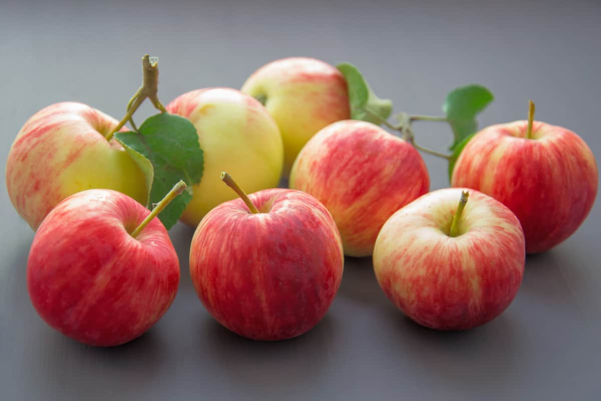 Apple fruit for health