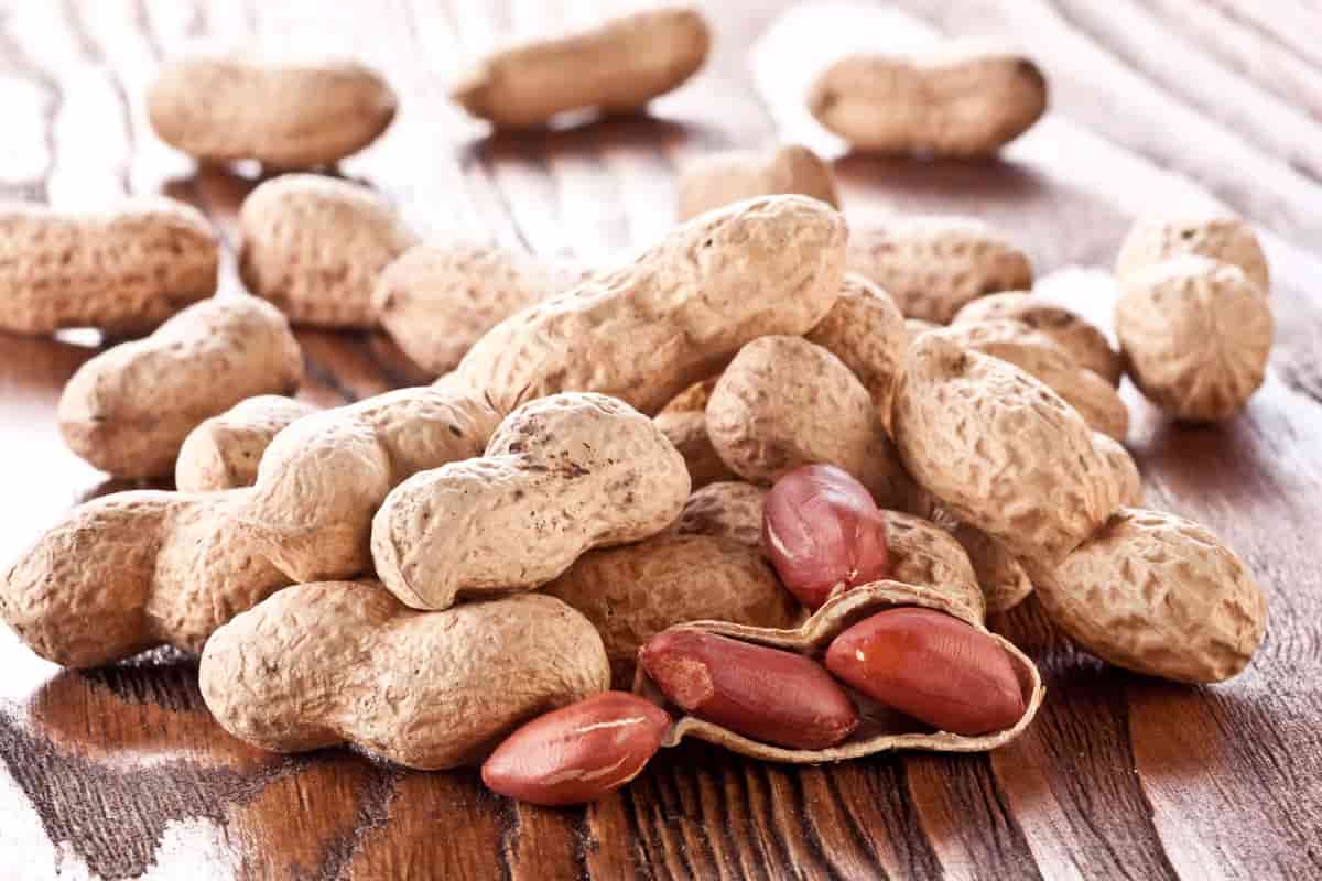 raw red skin peanuts wholesale