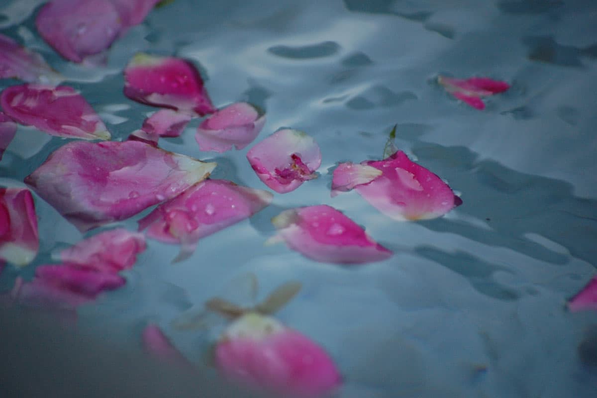 silk rose petals for wedding aisle