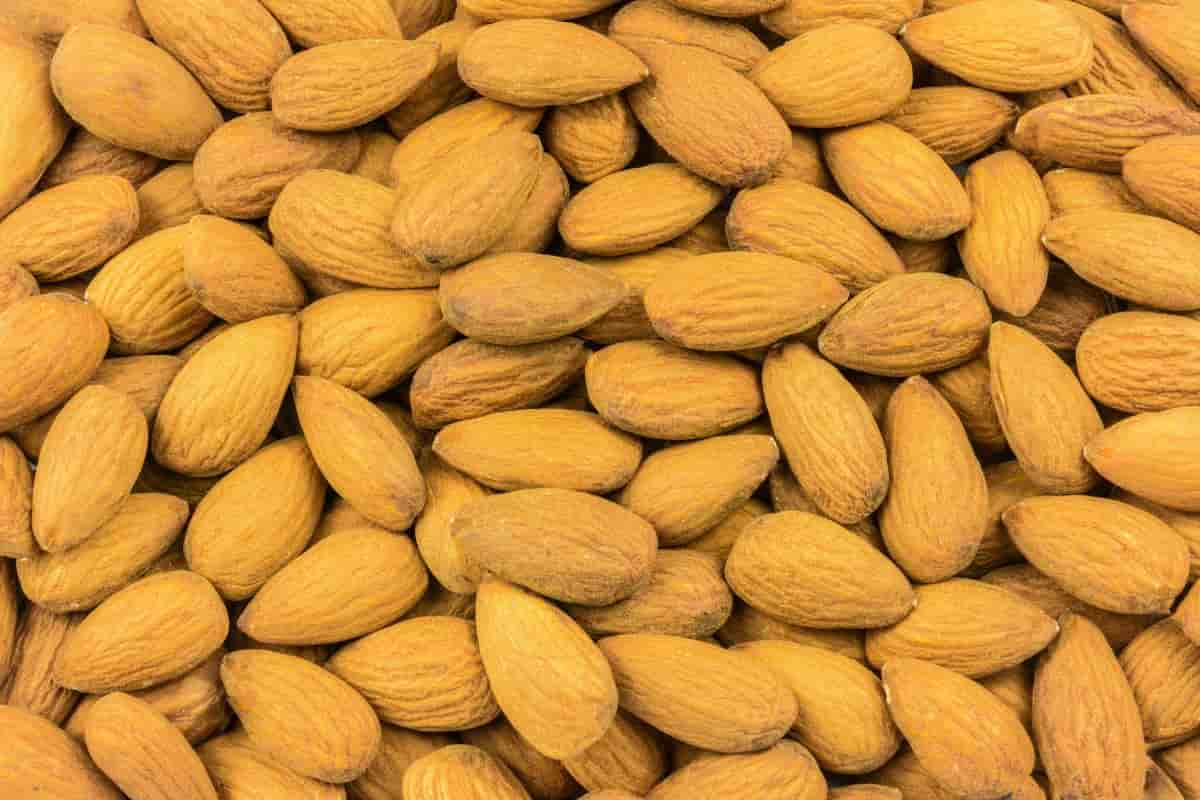 best mamra almonds brand