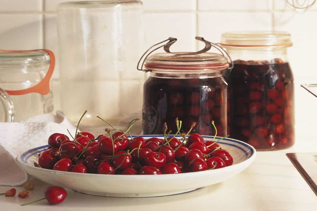 canned cherry pie benefits