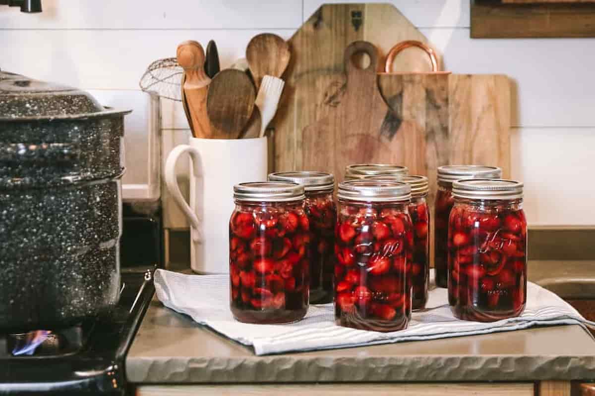 canned sour cherries recipes