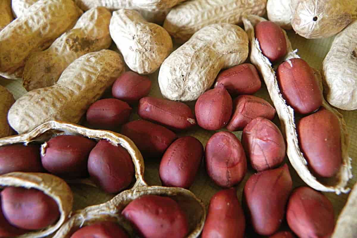 raw red skin peanuts instructions