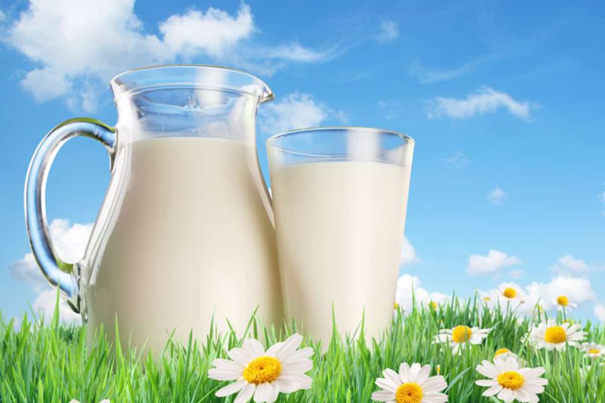 Health benefits of dairy products
