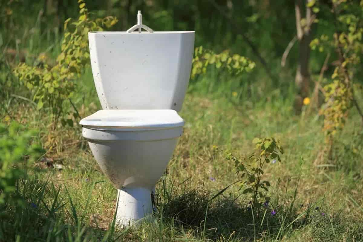 Toilet bowl price