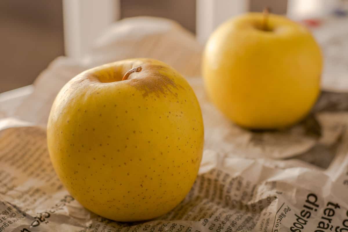 iranian golden apple fruit features
