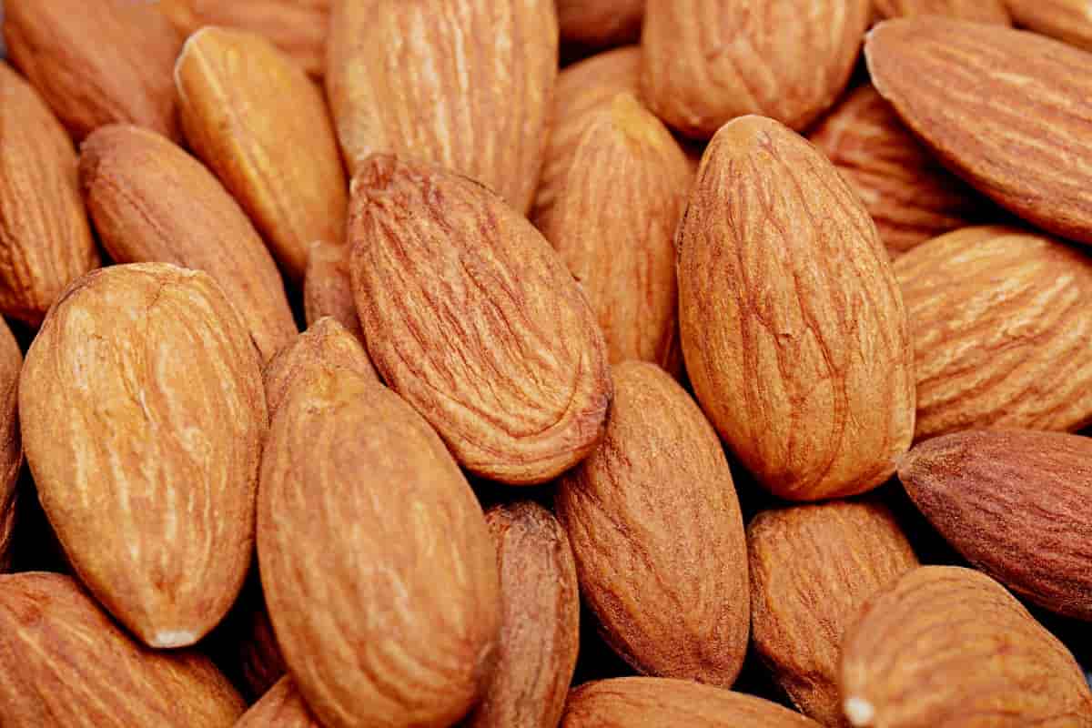 best mamra almond for pregnancy