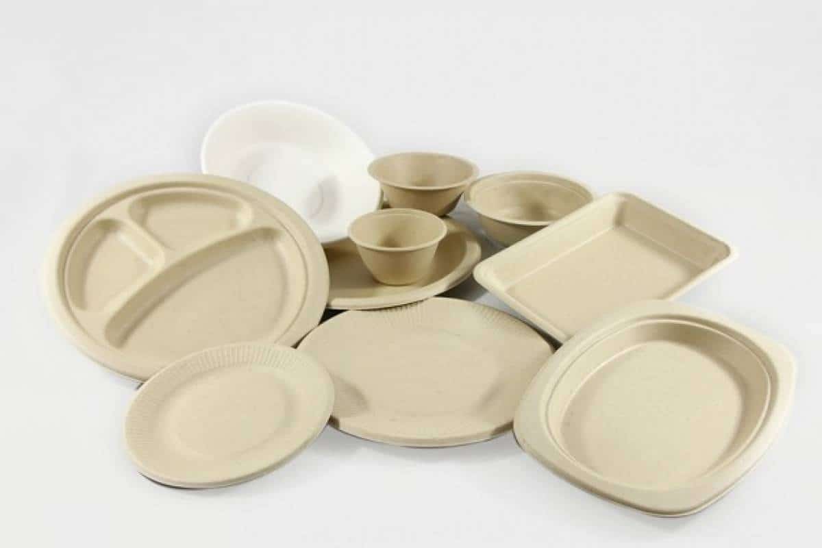 biodegradable plates costco