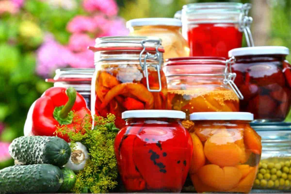 food preservation and processing