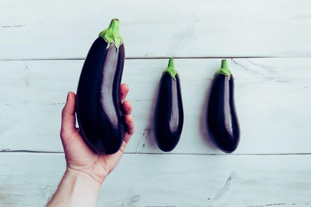 eggplant vs zucchini taste