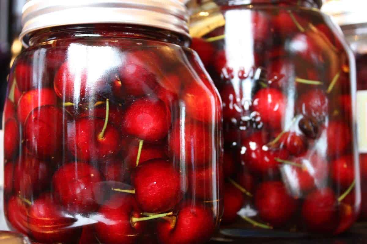canning cherries exciting