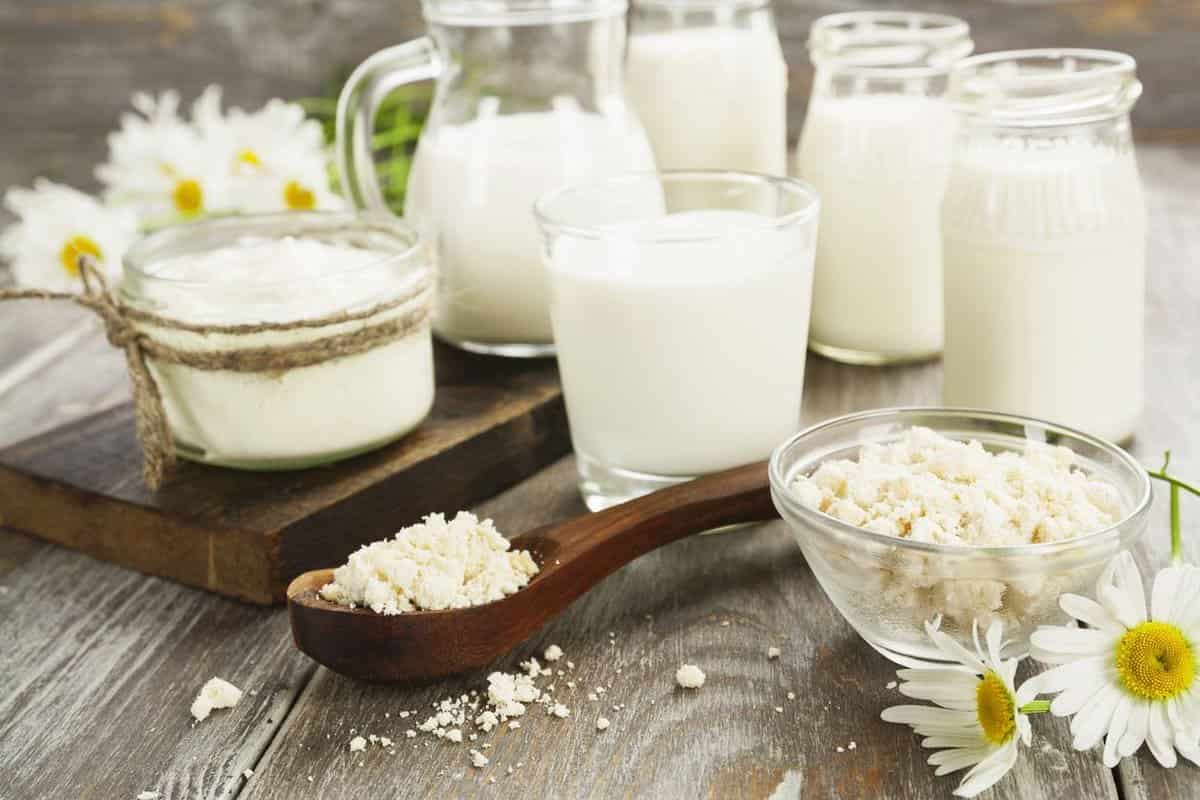 standards for dairy products