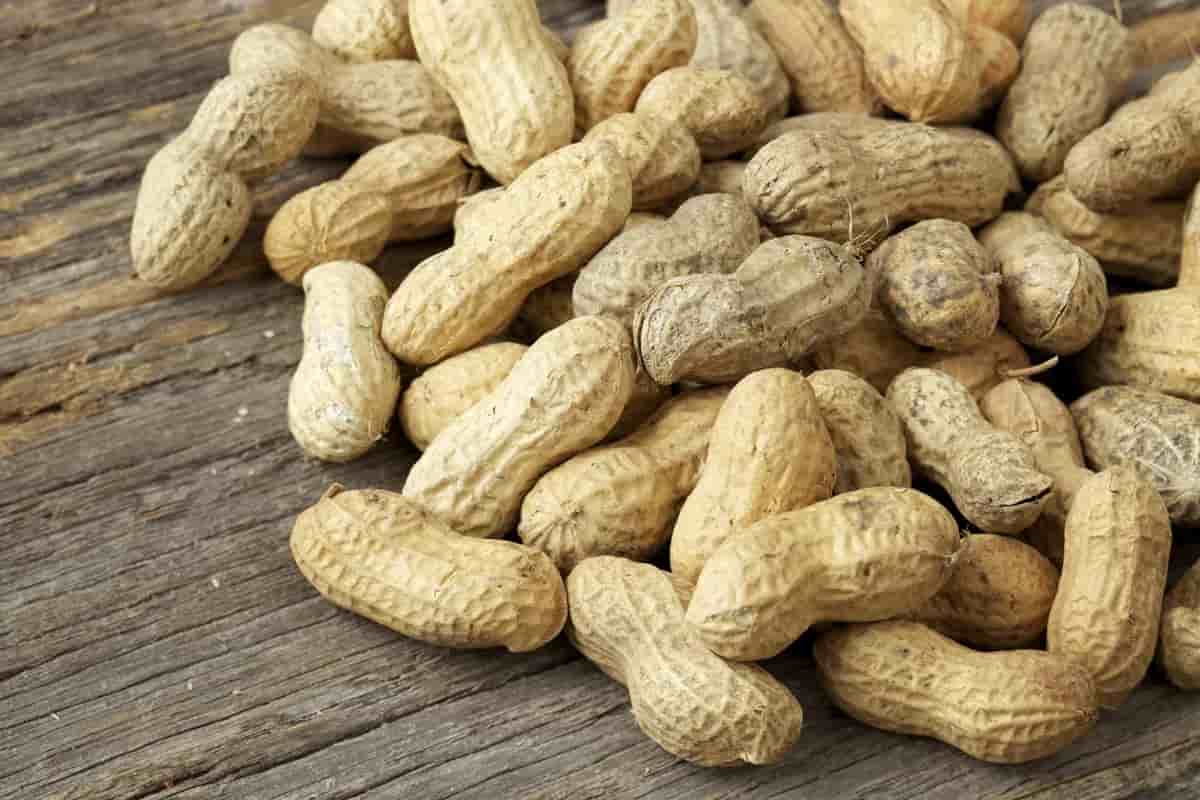 what is unsalted peanuts in shell?