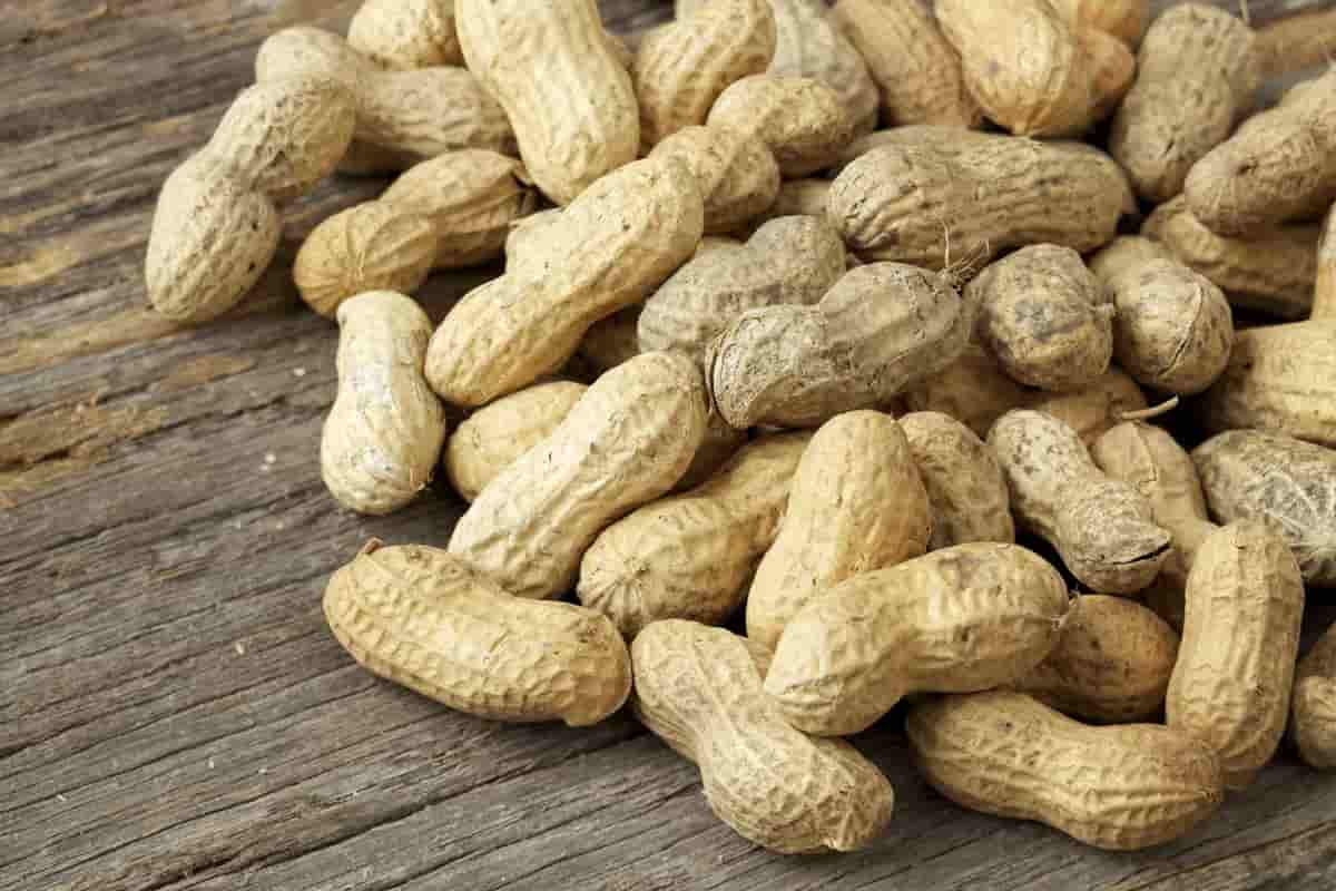 roasted peanuts in shell recipe