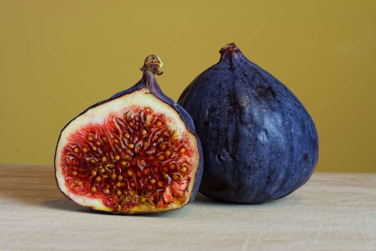 what is meant by smyrna fig