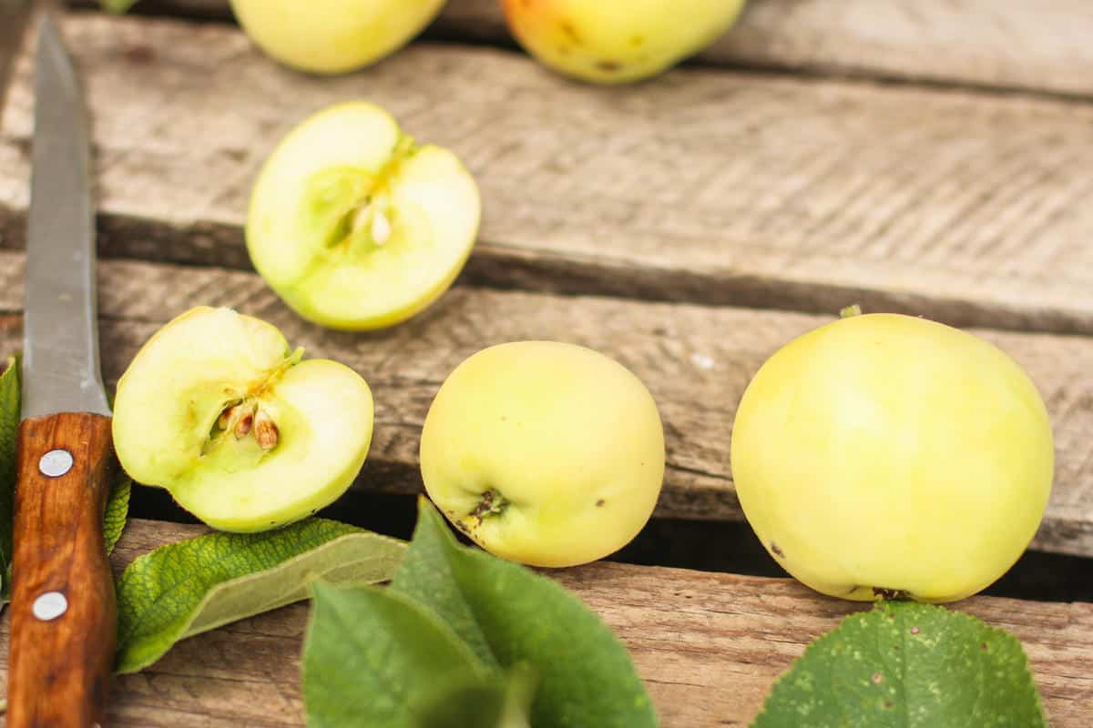 Specifications of Golden apple fruit 
