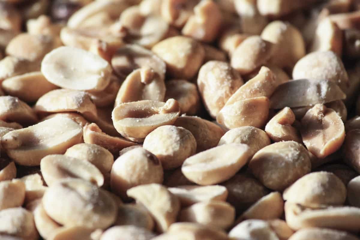 Unsalted peanuts with red skin