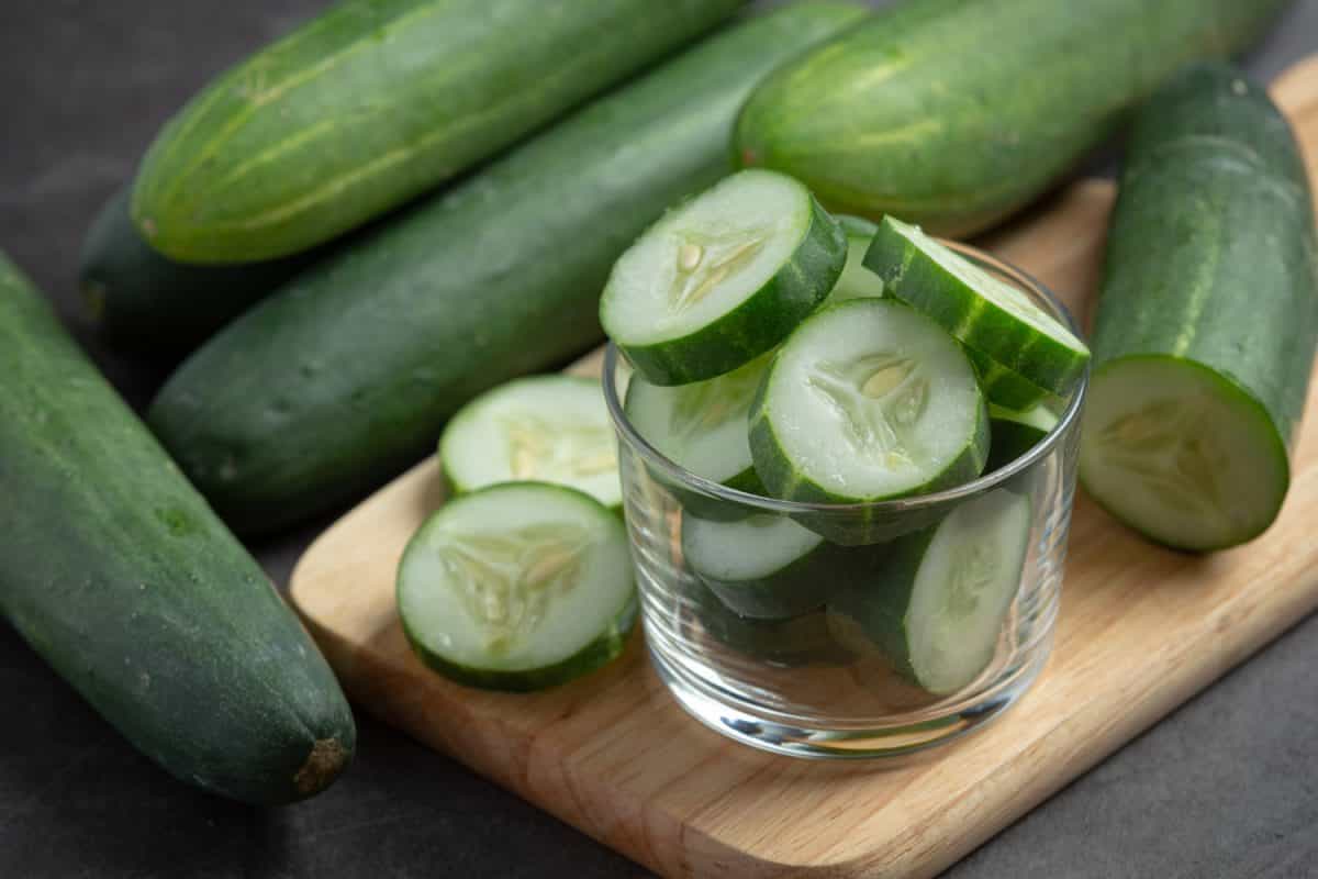 cucumber vs zucchini plant
