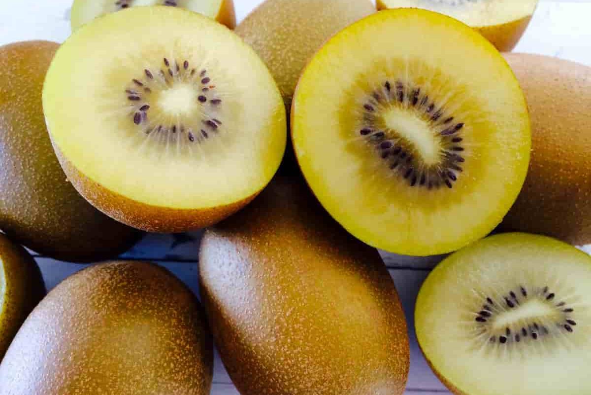 price of wholesale golden sour kiwi