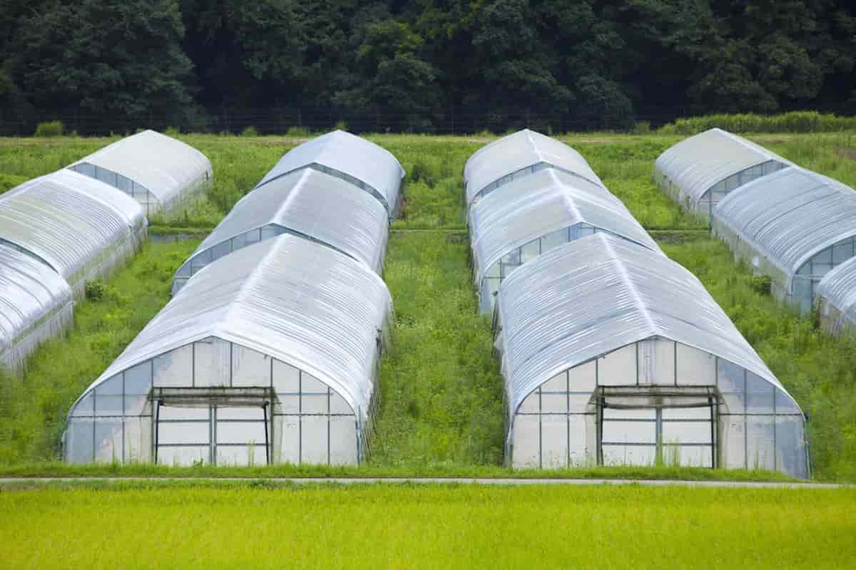 Agriculture Plastic Ground Cover