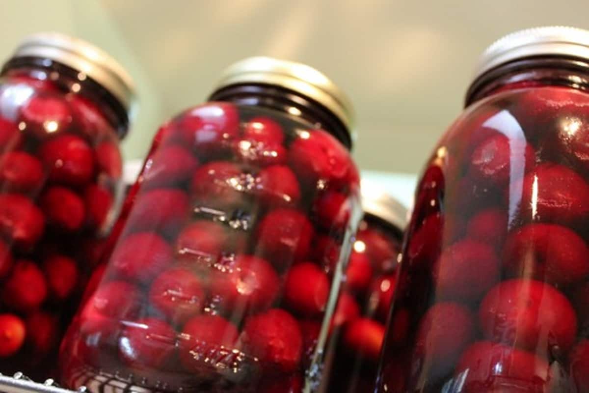 canned sour cherries familiar with pie recipe