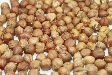 hazelnut kernels benefits