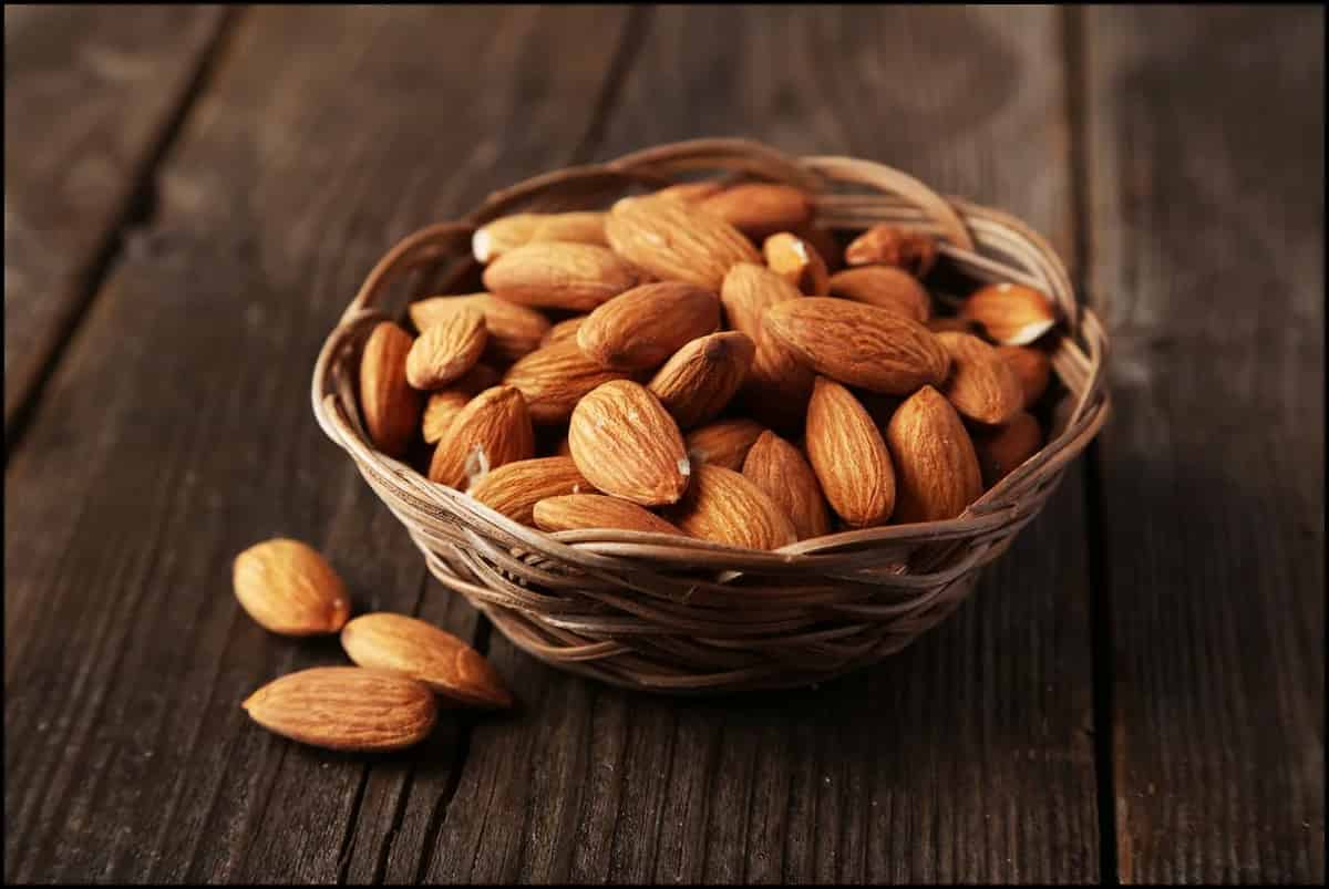 Mamra almonds benefits during pregnancy