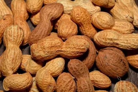 peanut kernels for sale