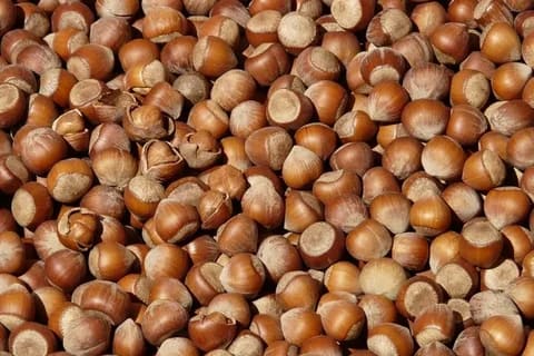 hazelnut kernels price