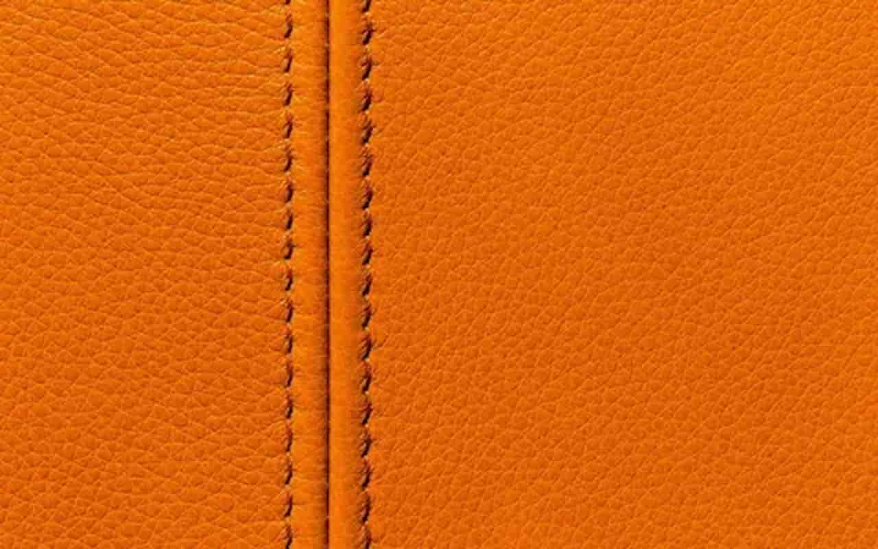 Introduction of cactus leather