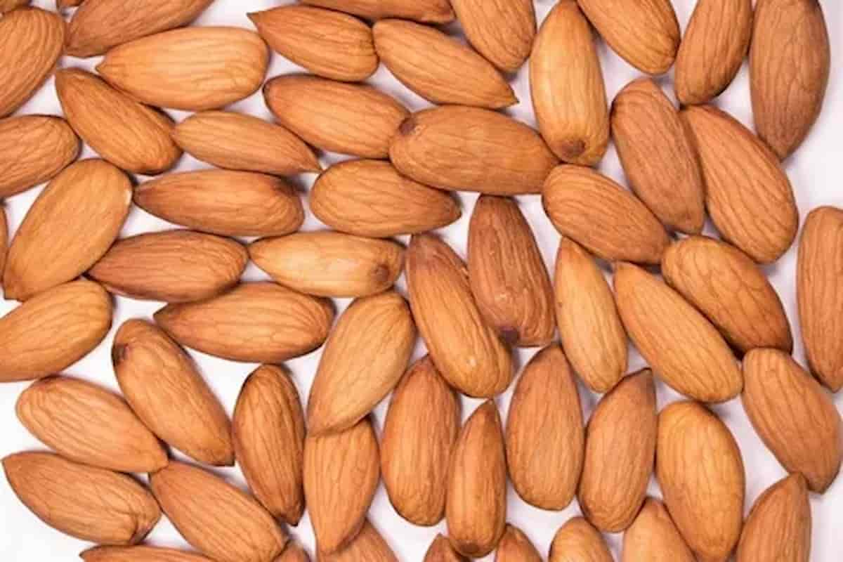 Learn more about mamra almonds