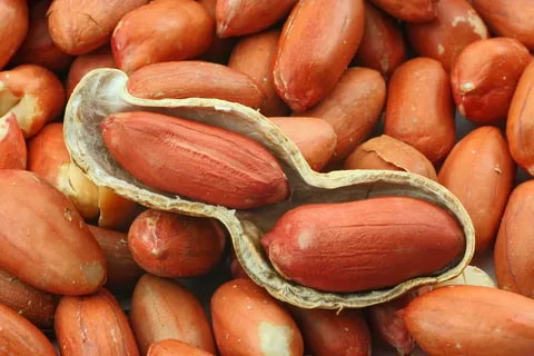 blanched peanuts suppliers