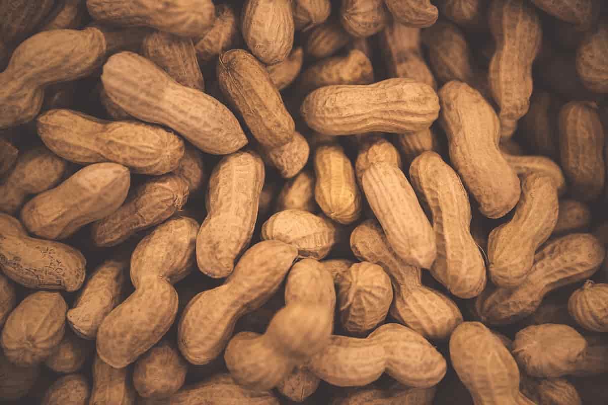 salted peanuts keto