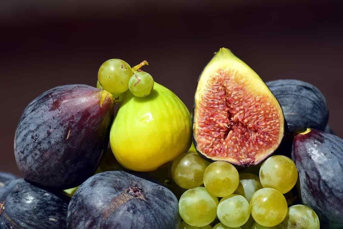 global distributors dried figs 