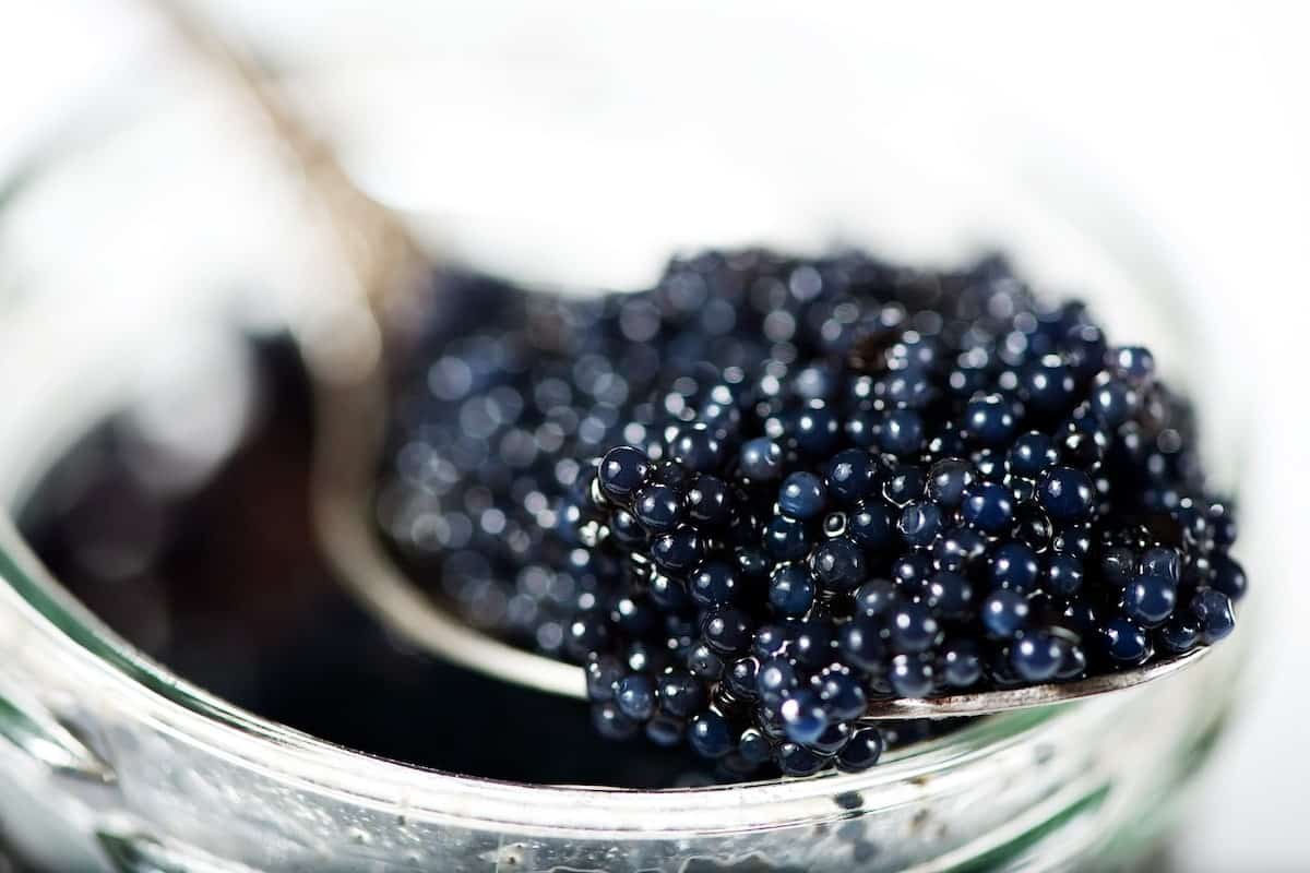 Kaluga caviar price
