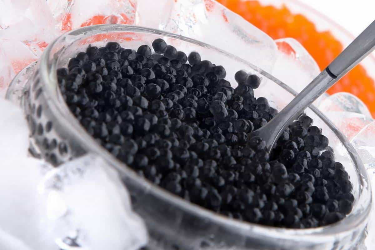 kaluga caviar origin