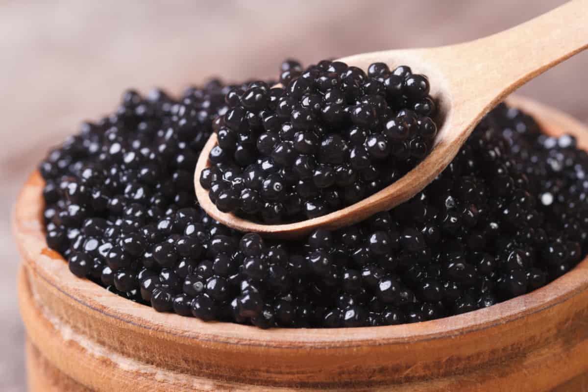 kaluga caviar china