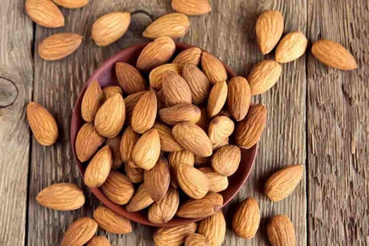 mamra almond price in delhi